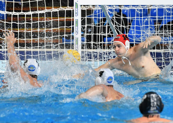 Fontos győzelmet arattunk